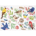 Bird Study Counted Cross Stitch Kit (image for) Bird Study Counted Cross Stitch Kit